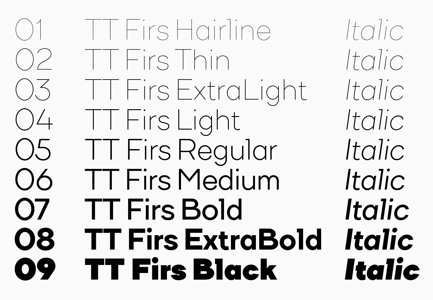 Branching out: How Scandinavian Sans TT Firs Grew and Discovered Its Font Pair