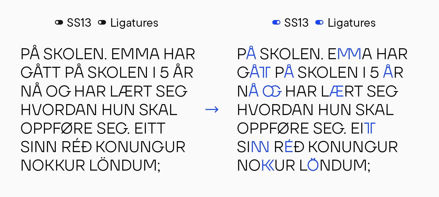 Branching out: How Scandinavian Sans TT Firs Grew and Discovered Its Font Pair