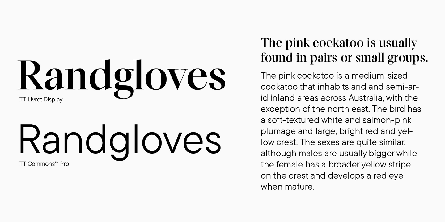 The best way to Select the Greatest Infographic Fonts: Complete Information