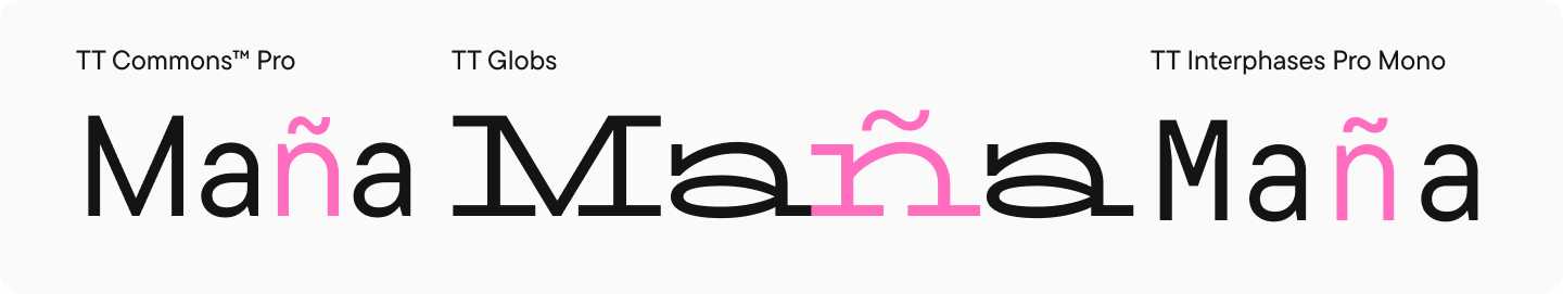 Particular Characters and Punctuation Marks in Fonts: Information to Typographical Symbols